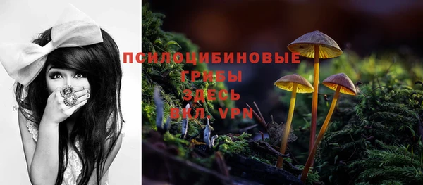 2c-b Арсеньев