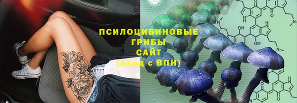 каннабис Алзамай